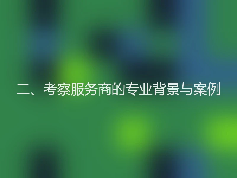 二、考察服务商的专业背景与案例