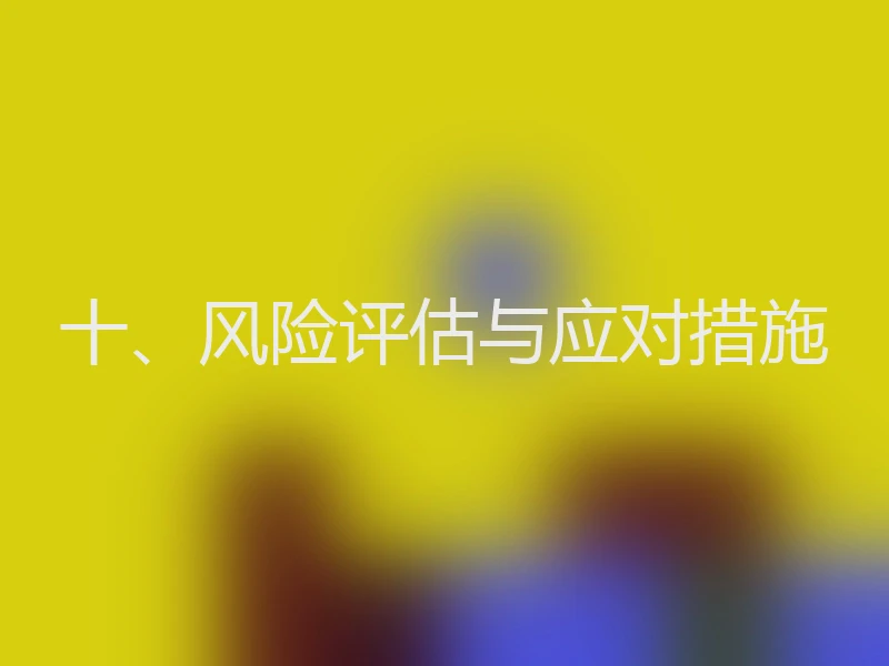 十、风险评估与应对措施
