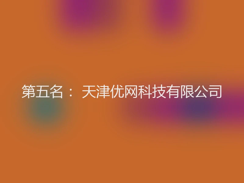 第五名： 天津优网科技有限公司
