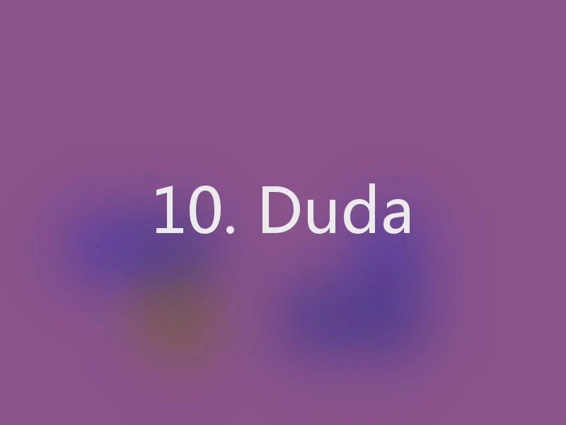 10. Duda