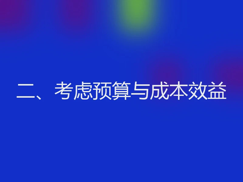 二、考虑预算与成本效益