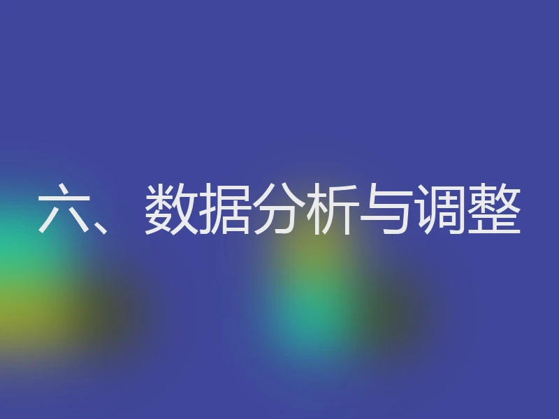 六、数据分析与调整