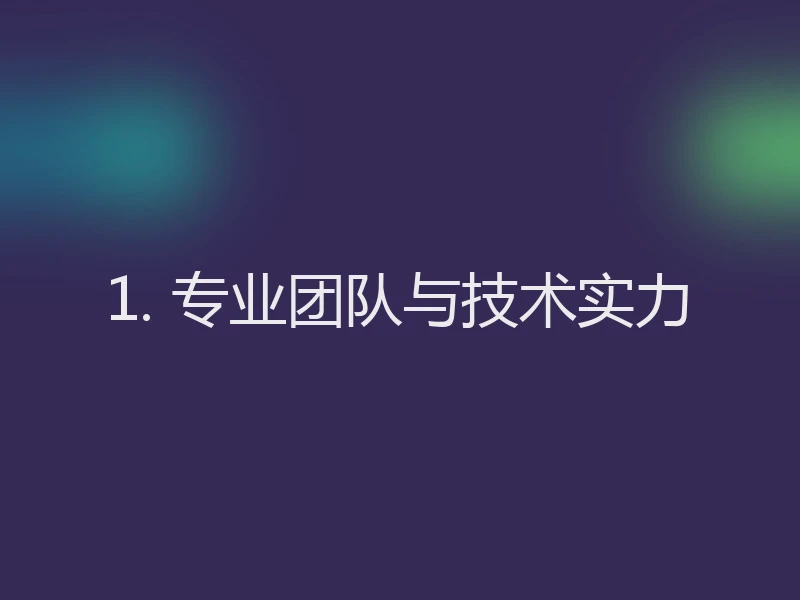 1. 专业团队与技术实力
