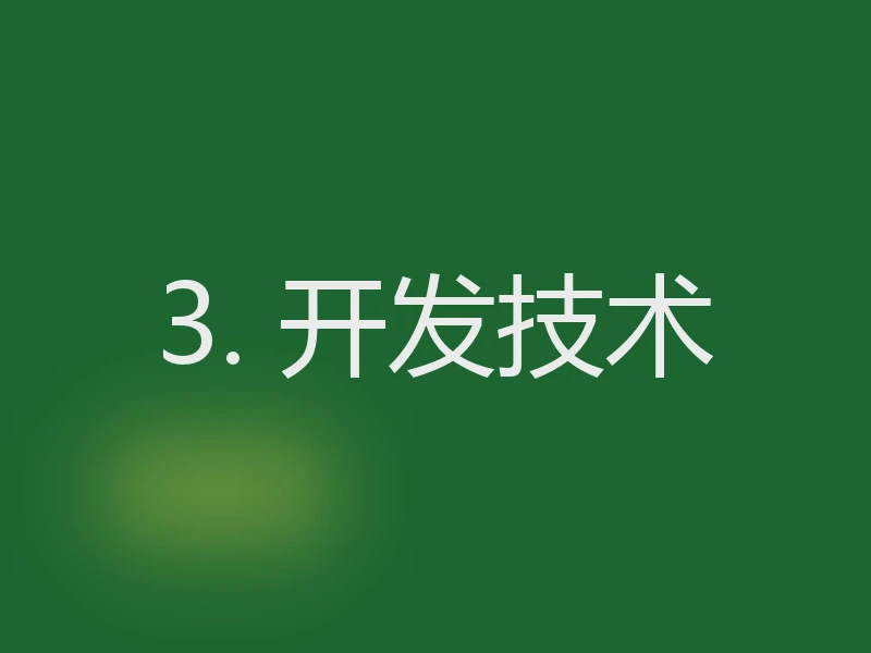 3. 开发技术
