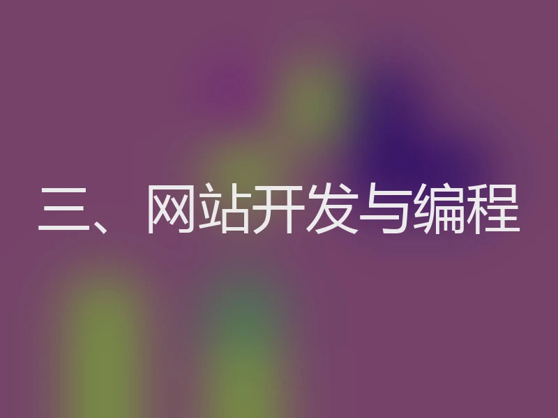 三、网站开发与编程