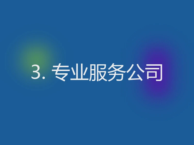 3. 专业服务公司