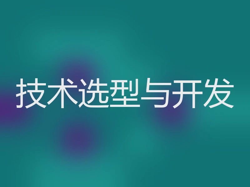技术选型与开发
