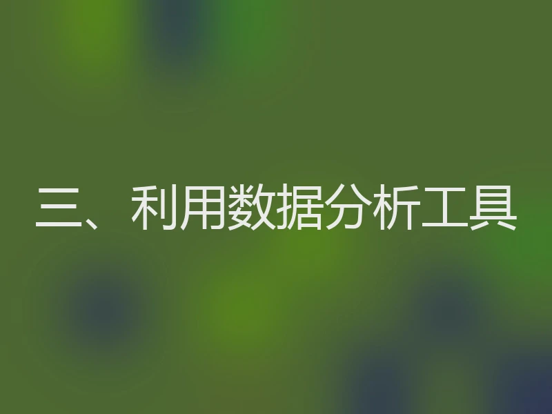 三、利用数据分析工具