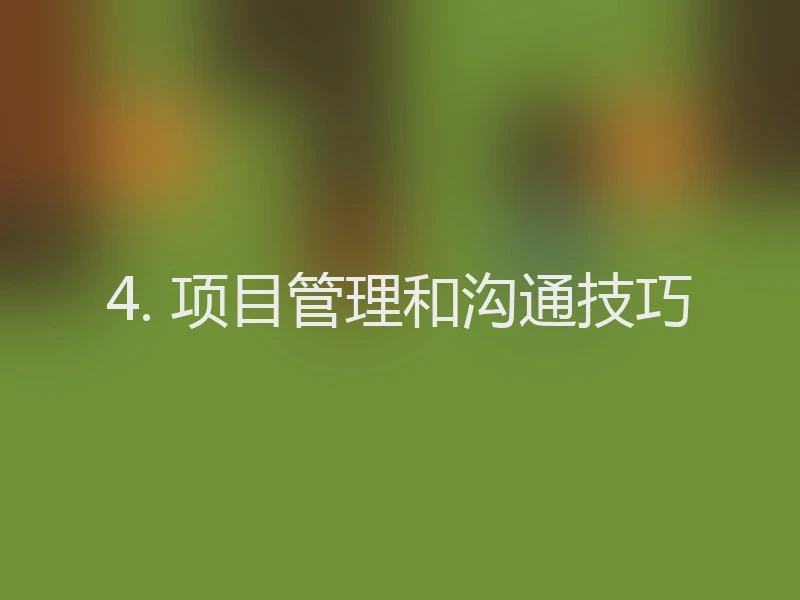 4. 项目管理和沟通技巧