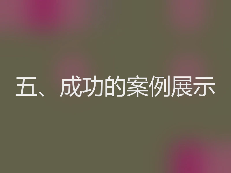 五、成功的案例展示