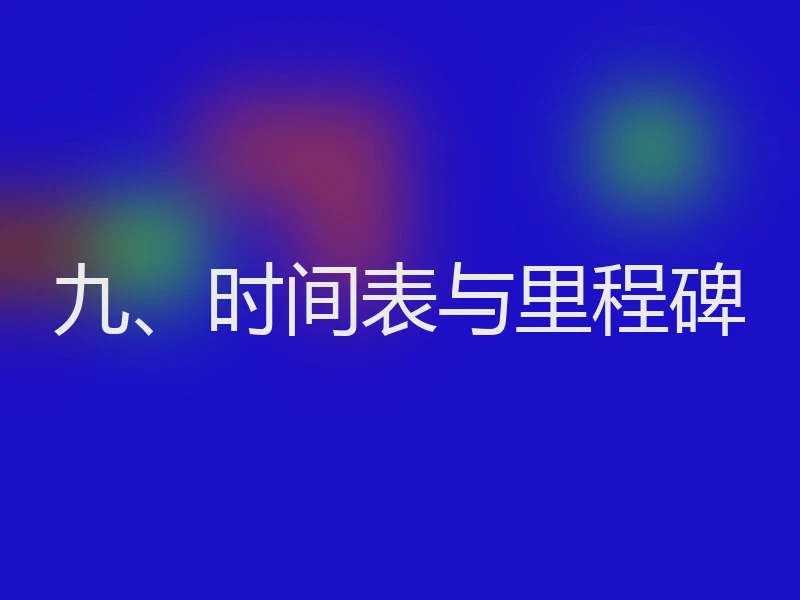 九、时间表与里程碑