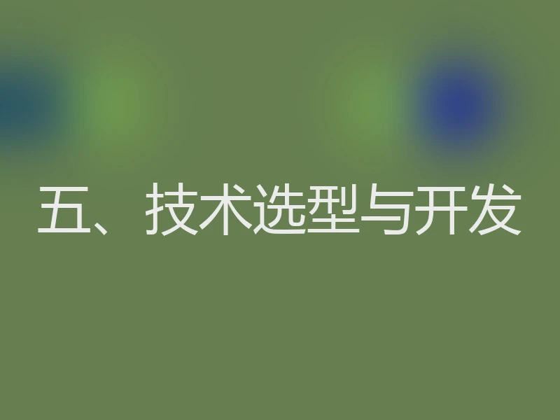 五、技术选型与开发