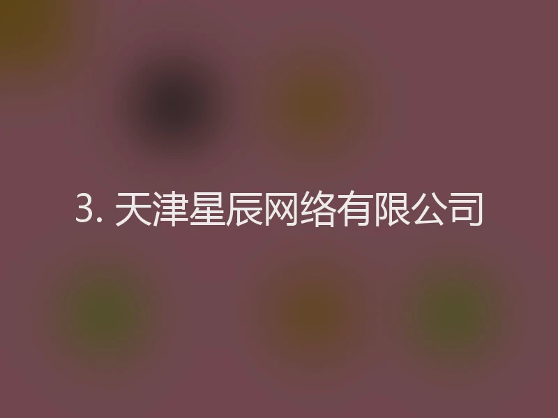 3. 天津星辰网络有限公司