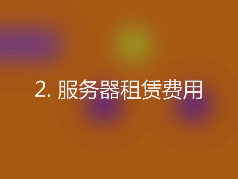 2. 服务器租赁费用