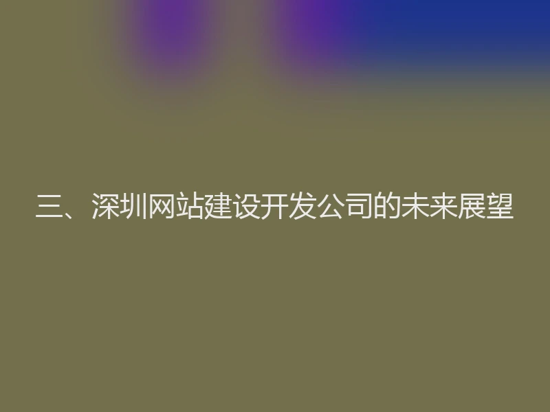 三、深圳网站建设开发公司的未来展望