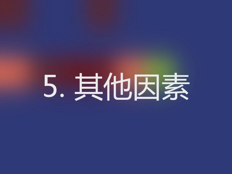 5. 其他因素