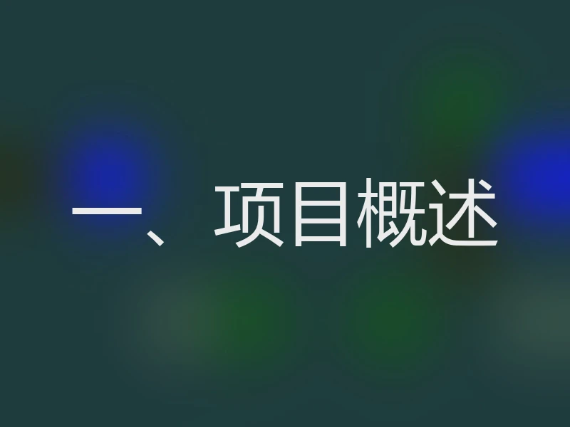 一、项目概述