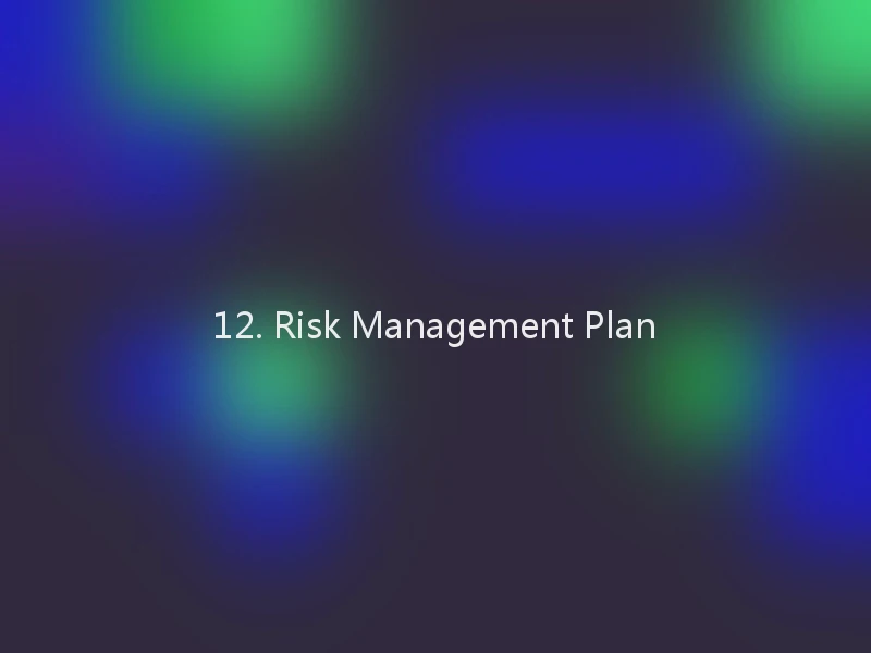 12. Risk Management Plan