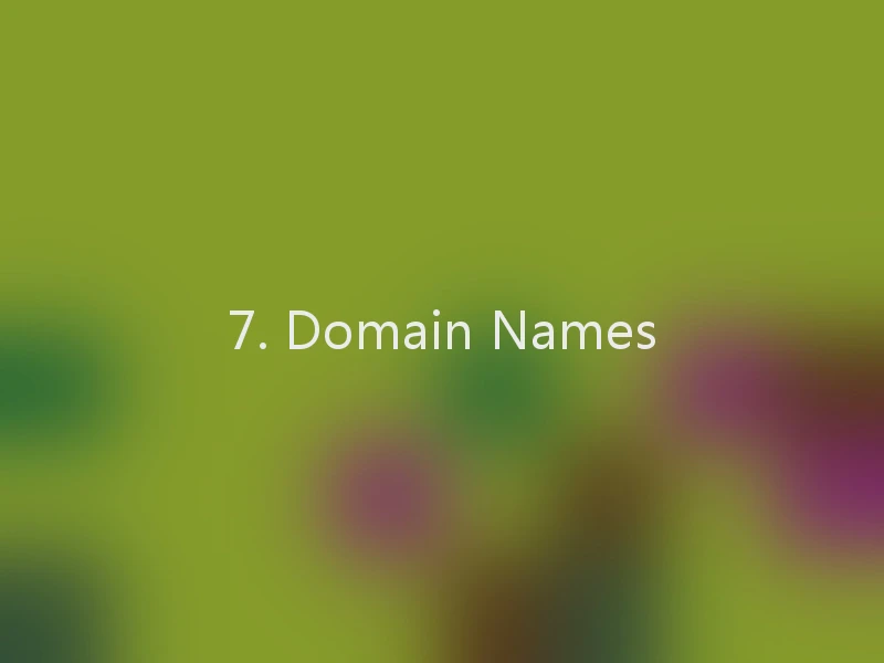 7. Domain Names