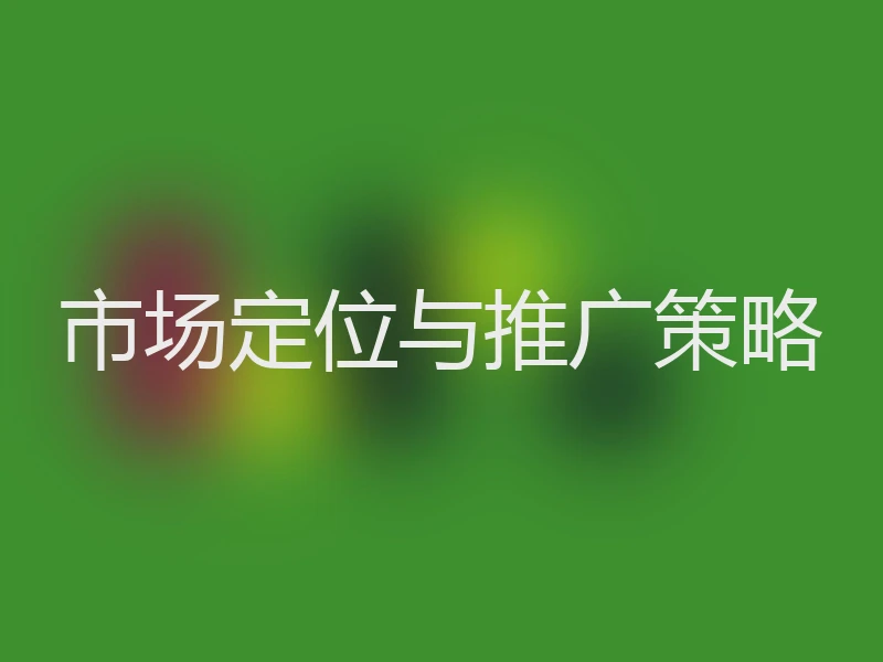 市场定位与推广策略