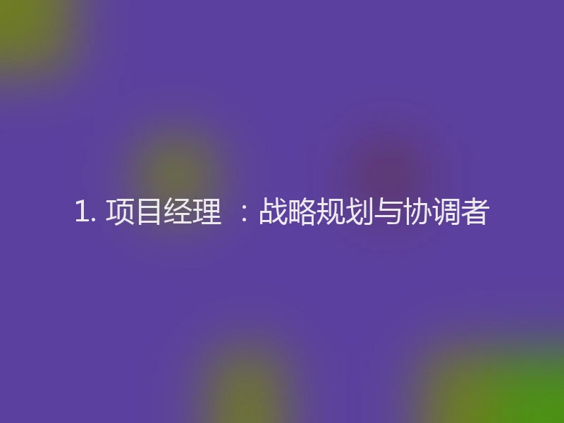 1. 项目经理 ：战略规划与协调者