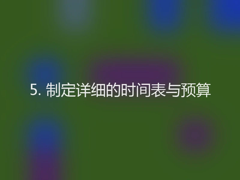 5. 制定详细的时间表与预算