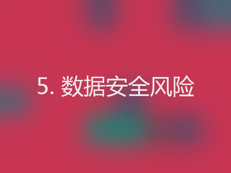 5. 数据安全风险