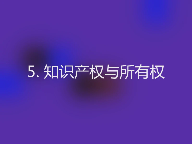 5. 知识产权与所有权