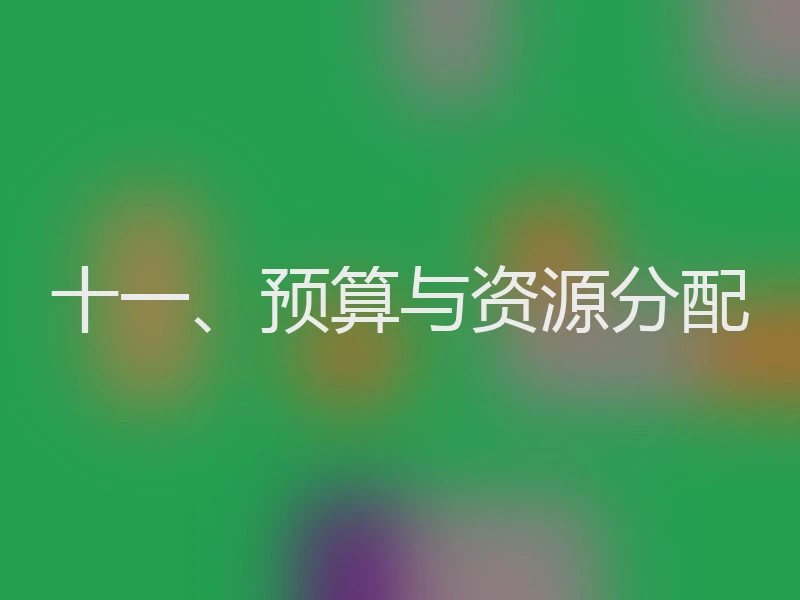 十一、预算与资源分配