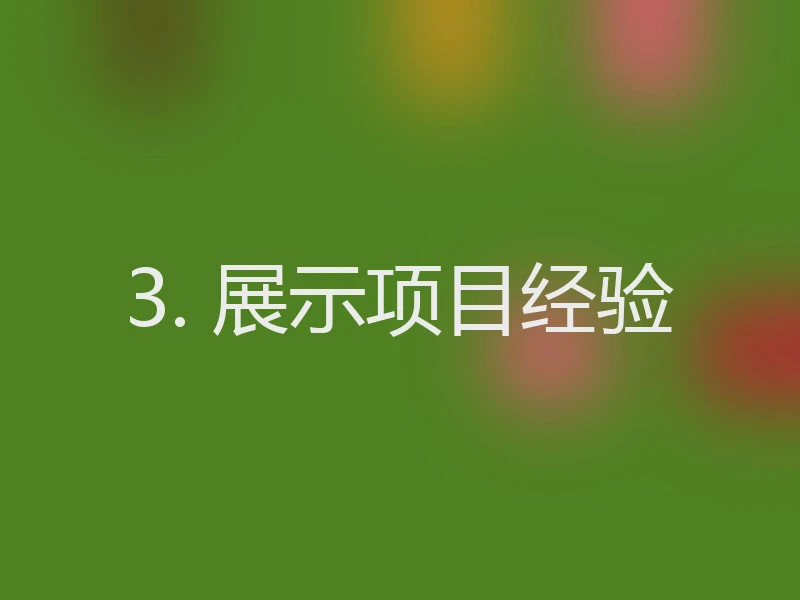 3. 展示项目经验