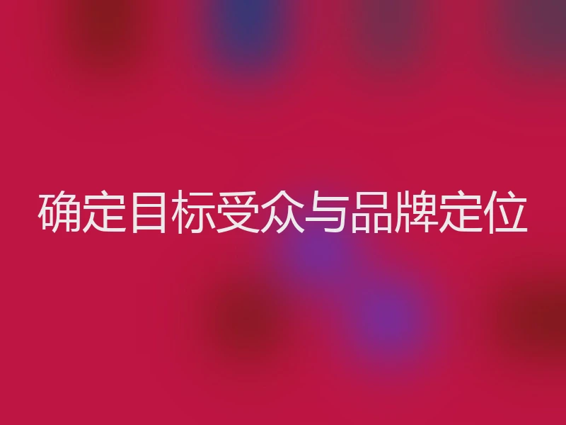 确定目标受众与品牌定位