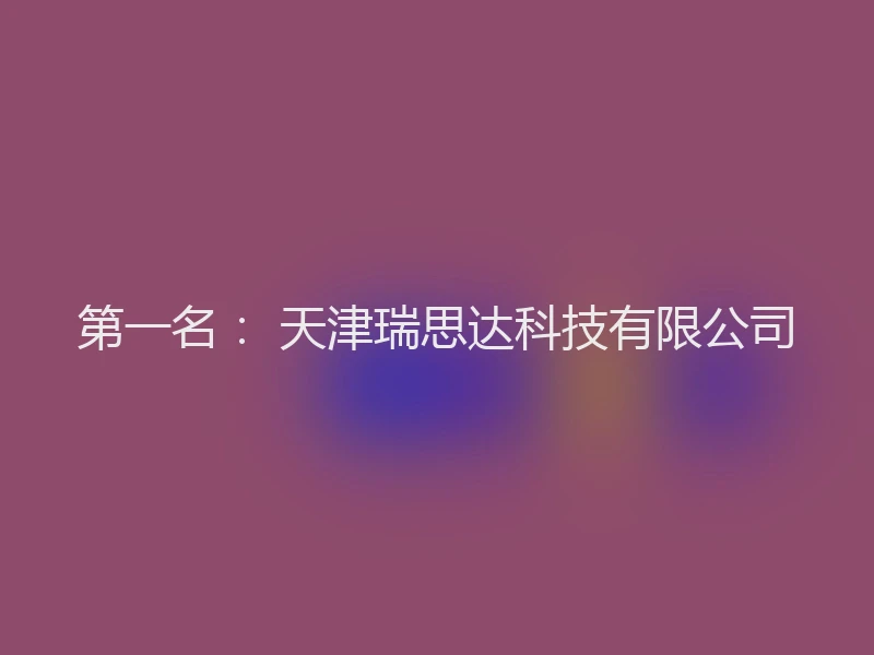 第一名： 天津瑞思达科技有限公司