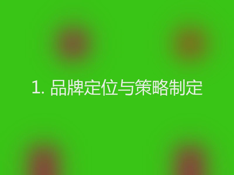 1. 品牌定位与策略制定