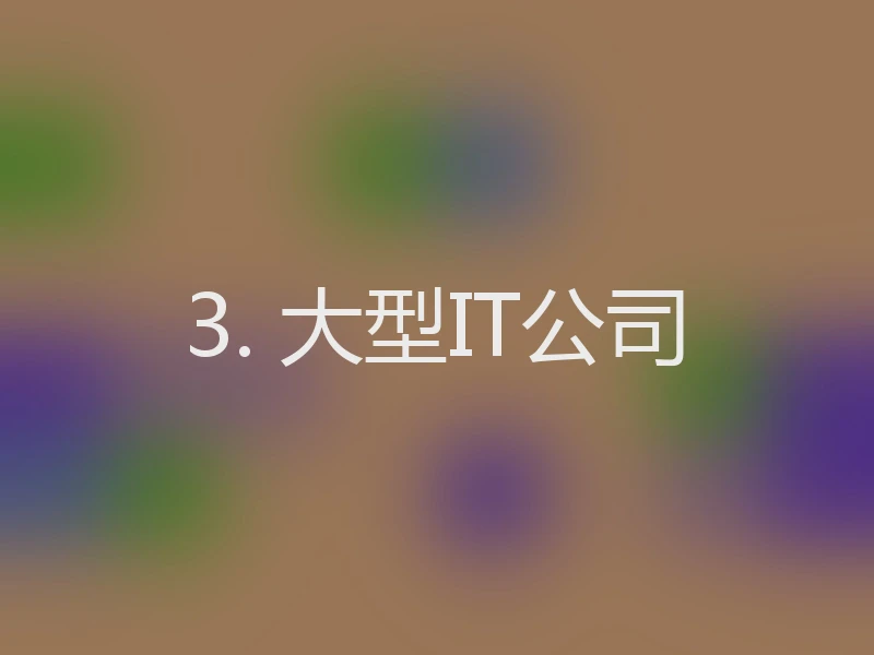 3. 大型IT公司