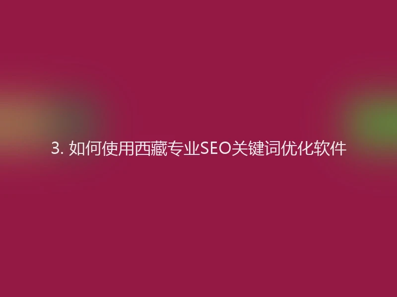 3. 如何使用西藏专业SEO关键词优化软件