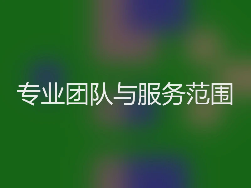 专业团队与服务范围