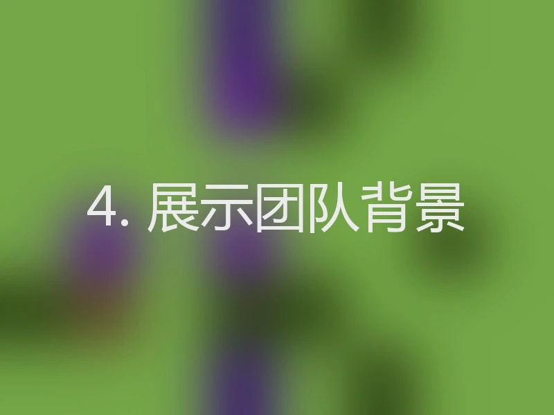 4. 展示团队背景