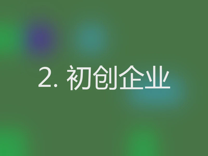 2. 初创企业