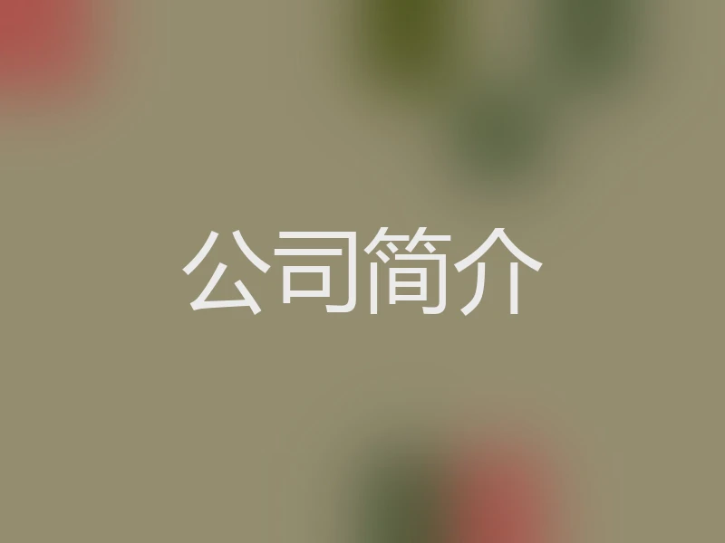 公司简介