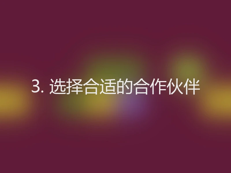 3. 选择合适的合作伙伴