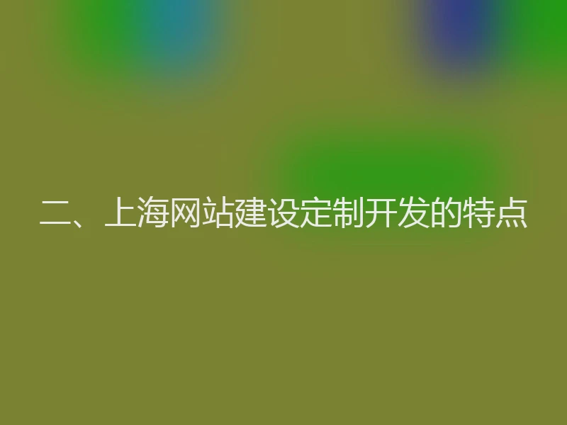 二、上海网站建设定制开发的特点