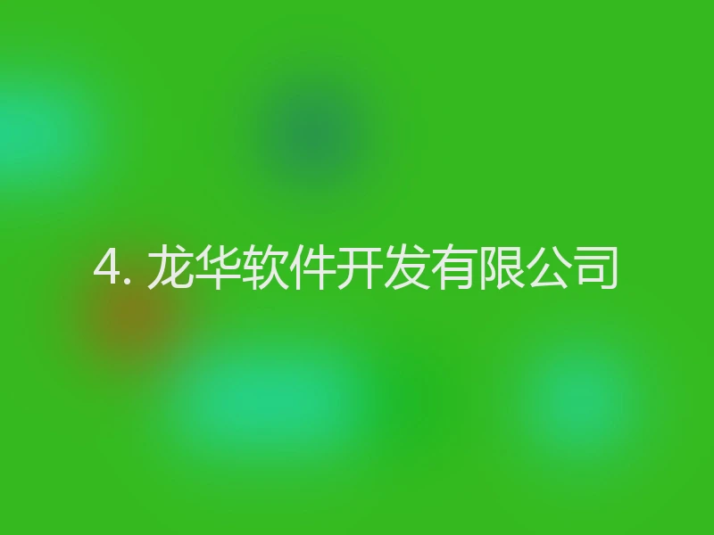 4. 龙华软件开发有限公司