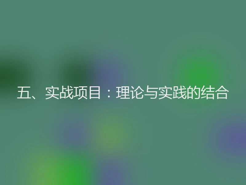 五、实战项目：理论与实践的结合