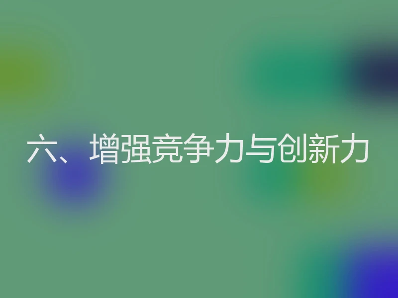 六、增强竞争力与创新力