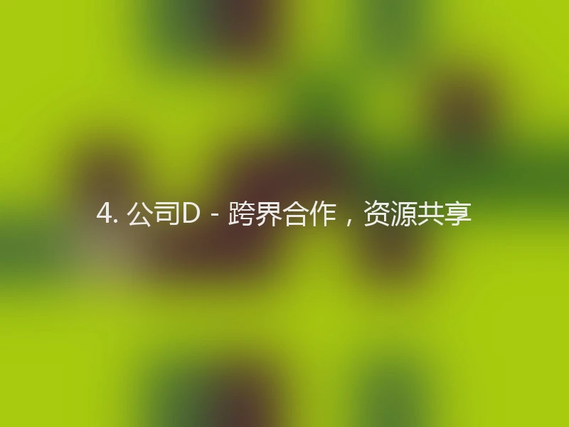 4. 公司D - 跨界合作，资源共享