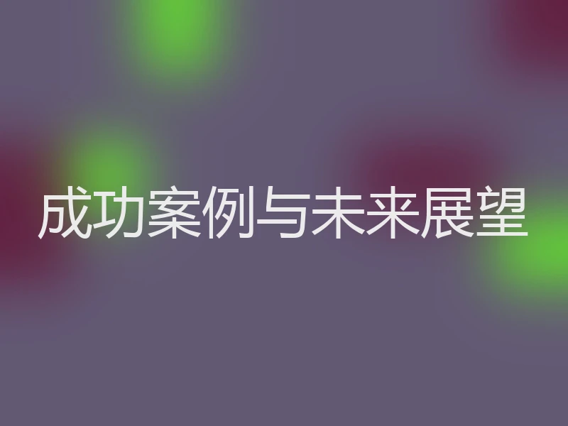 成功案例与未来展望