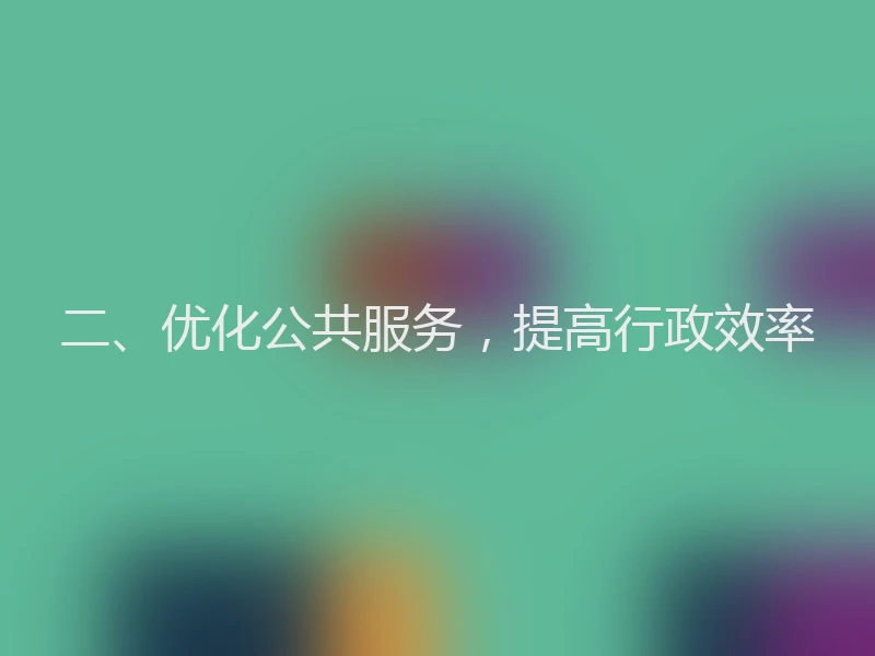 二、优化公共服务，提高行政效率