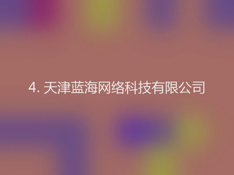 4. 天津蓝海网络科技有限公司