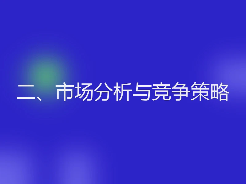 二、市场分析与竞争策略
