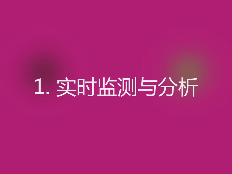 1. 实时监测与分析